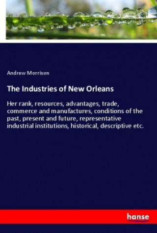 Könyv The Industries of New Orleans Andrew Morrison
