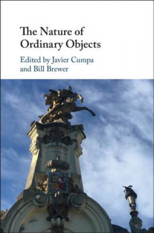 Книга Nature of Ordinary Objects EDITED BY JAVIER CUM