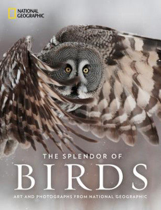 Kniha Splendor of Birds National Geographic