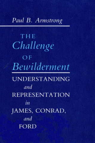 Kniha Challenge of Bewilderment Paul B. Armstrong