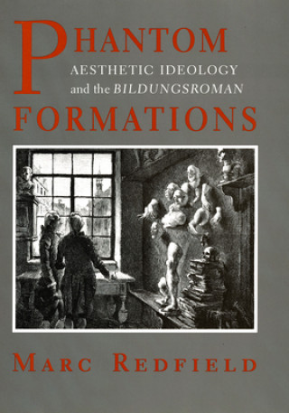 Buch Phantom Formations Marc Redfield