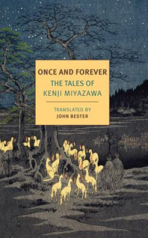 Kniha Once And Forever John Bester