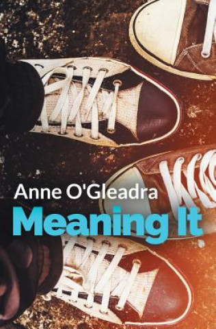 Buch Meaning It ANNE O'GLEADRA