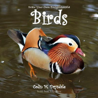 Könyv Draw Your Own Encyclopaedia Birds Colin M. Drysdale