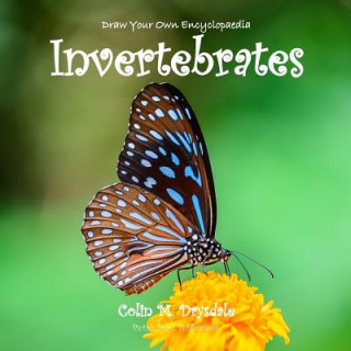 Könyv Draw Your Own Encyclopaedia Invertebrates Colin M Drysdale