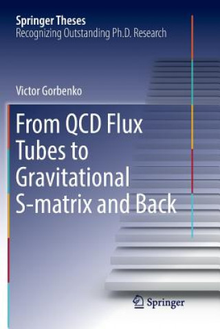 Kniha From QCD Flux Tubes to Gravitational S-matrix and Back VICTOR GORBENKO