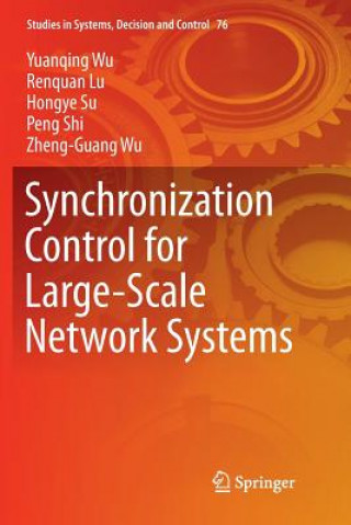 Kniha Synchronization Control for Large-Scale Network Systems YUANQING WU