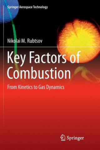 Könyv Key Factors of Combustion NIKOLAI M. RUBTSOV