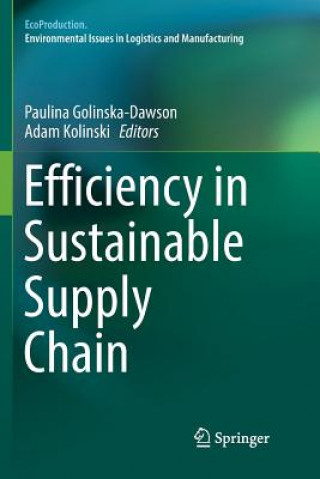 Kniha Efficiency in Sustainable Supply Chain PAU GOLINSKA-DAWSON