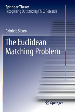 Knjiga Euclidean Matching Problem GABRIELE SICURO