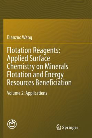 Kniha Flotation Reagents: Applied Surface Chemistry on Minerals Flotation and Energy Resources Beneficiation DIANZUO WANG