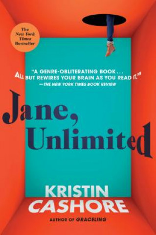 Kniha Jane, Unlimited Kristin Cashore