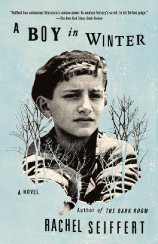 Carte Boy in Winter Rachel Seiffert