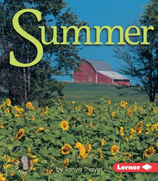 Knjiga Summer Tanya Thayer