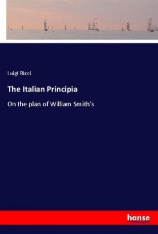 Book The Italian Principia Luigi Ricci