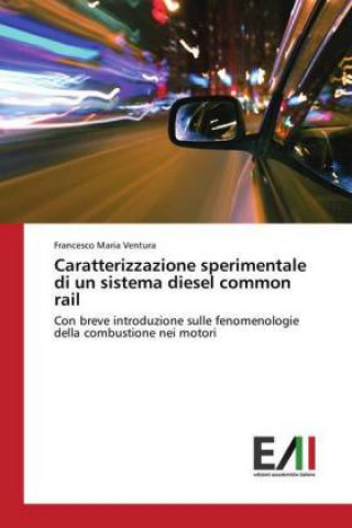 Könyv Caratterizzazione sperimentale di un sistema diesel common rail Francesco Maria Ventura