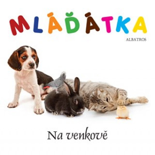 Book Mláďátka Na venkově Matt MacNabb