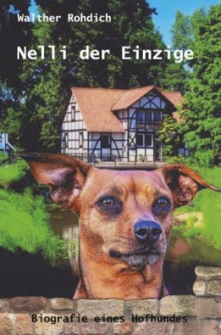 Buch Nelli der Einzige Walther Rohdich