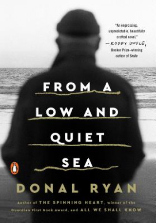 Kniha From a Low and Quiet Sea Donal Ryan