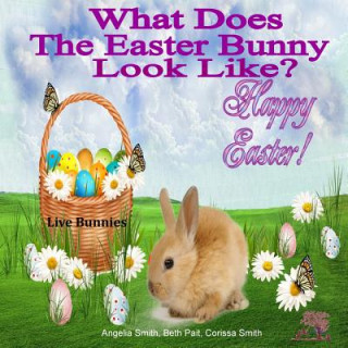 Kniha What Does The Easter Bunny Look Like? Angelia M Smith