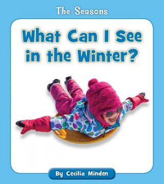 Buch What Can I See in the Winter? Cecilia Minden