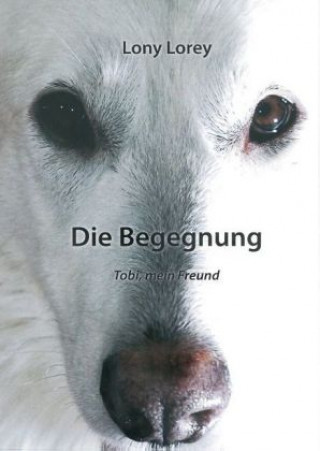 Knjiga Die Begegnung Lony Lorey