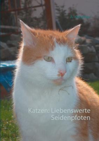 Könyv Katzen A. Ketschau