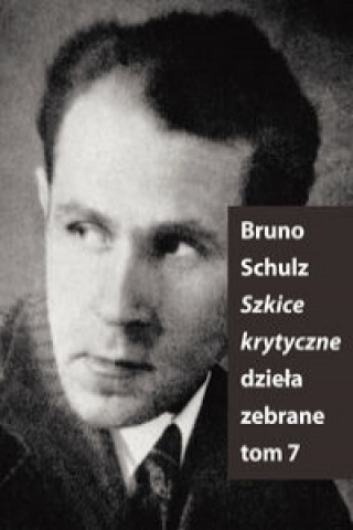 Kniha Szkice Krytyczne Bruno Schulz