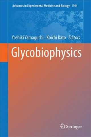 Kniha Glycobiophysics Yoshiki Yamaguchi