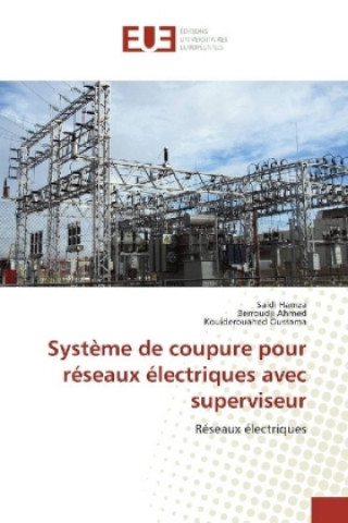 Kniha Système de coupure pour réseaux électriques avec superviseur Saidi Hamza