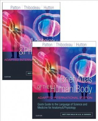 Kniha Anatomy and Physiology Kevin T. Patton