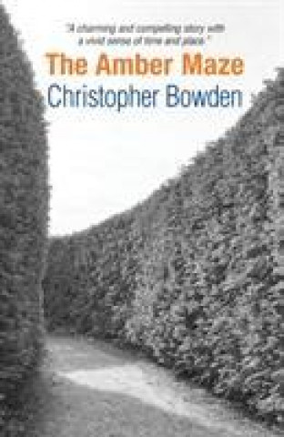 Kniha Amber Maze Christopher Bowden