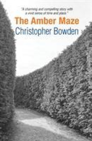 Buch Amber Maze Christopher Bowden