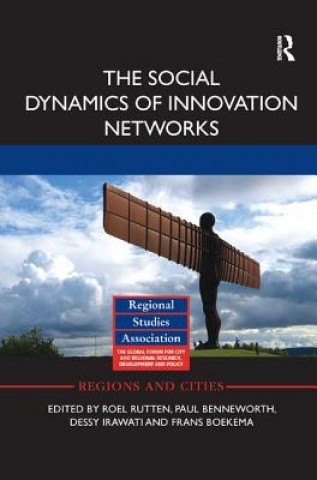 Kniha Social Dynamics of Innovation Networks 