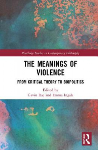 Kniha Meanings of Violence 