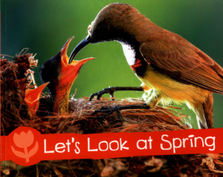 Book Let's Look at Spring Sarah L. Schuette