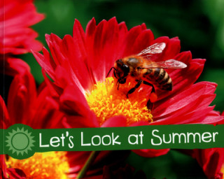 Knjiga Let's Look at Summer Sarah L. Schuette