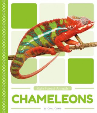 Kniha Rain Forest Animals: Chameleons Golriz Golkar