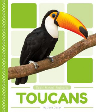 Buch Rain Forest Animals: Toucans Golriz Golkar