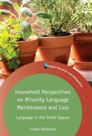 Könyv Household Perspectives on Minority Language Maintenance and Loss Isabel Velazquez