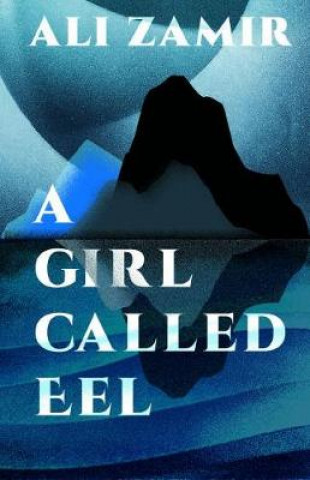 Könyv Girl Called Eel ALI ZAMIR