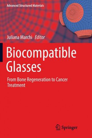 Book Biocompatible Glasses JULIANA MARCHI