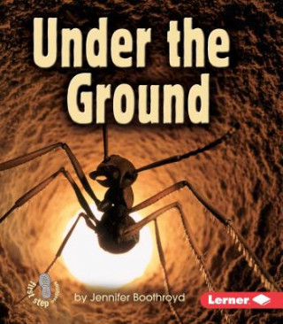 Buch Under the Ground Jennifer Boothroyd