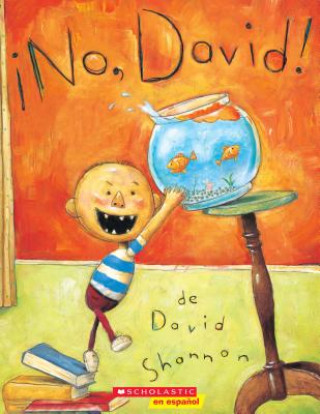 Könyv !No, David! David Shannon