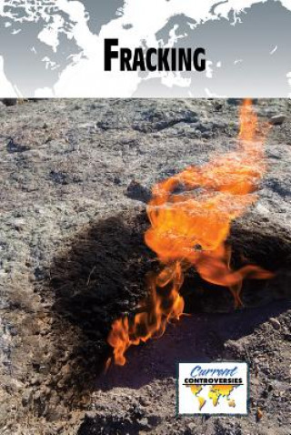 Knjiga Fracking Anne C Cunningham