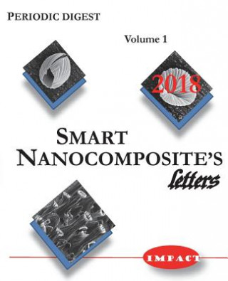 Kniha Smart Nanocomposite's Letters Kirill Levine