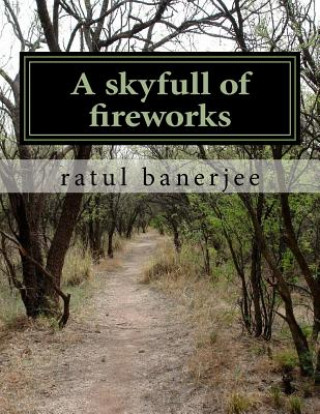 Knjiga A skyfull of fireworks Miss Ratul Banerjee