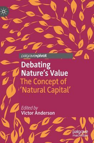 Kniha Debating Nature's Value Victor Anderson