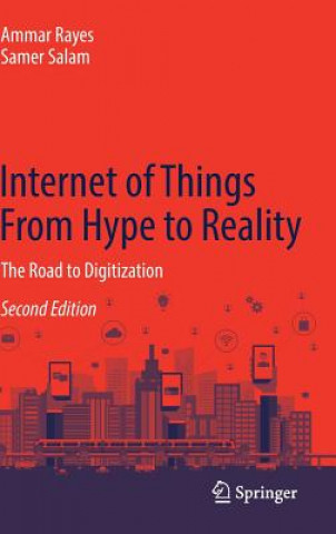 Kniha Internet of Things From Hype to Reality Ammar Rayes