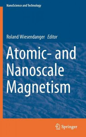 Kniha Atomic- and Nanoscale Magnetism Roland Wiesendanger